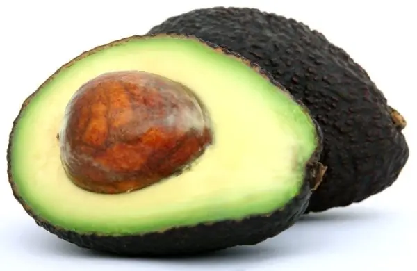 avocado olie koudgeperst natuurzuiver