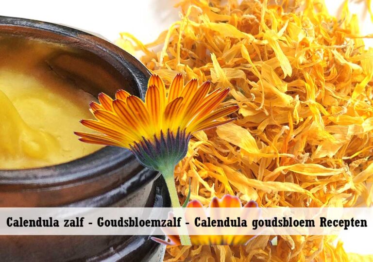 Calendula zalf - Goudsbloemzalf - Calendula goudsbloem Recepten