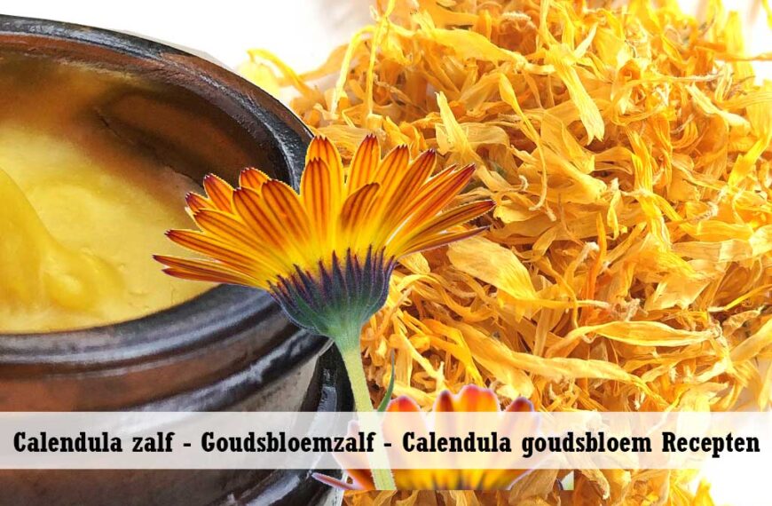 Calendula zalf Goudsbloemzalf Calendula goudsbloem Recepten