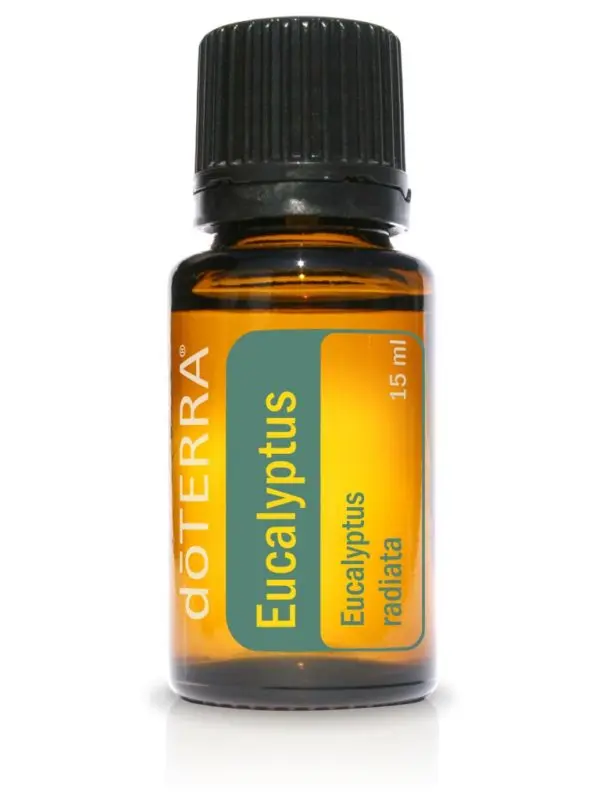 Eucalyptus essentiële olie doTERRA Eucalyptus radiata 15ml