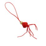 Gelukspoppetjes Lieveheersbeestjes