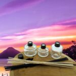 Geurfles reed diffuser glas 50ml of 100ml Rotan geurstokjes riet