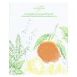 Healing Home and Family Booklet English