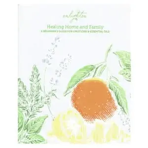 Healing Home and Family Booklet English