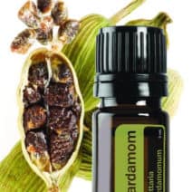 Kardemom essentiële olie doTERRA - Ellettaria cardamomoum Cardamom 5ml