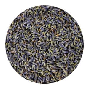 Lavendelbloemen Frans gedroogde Lavendel