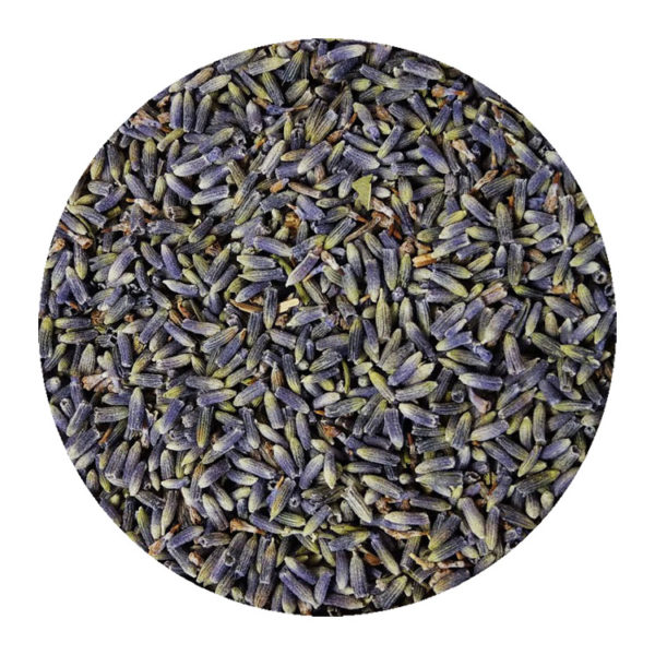 Lavendelbloemen Frans gedroogde Lavendel