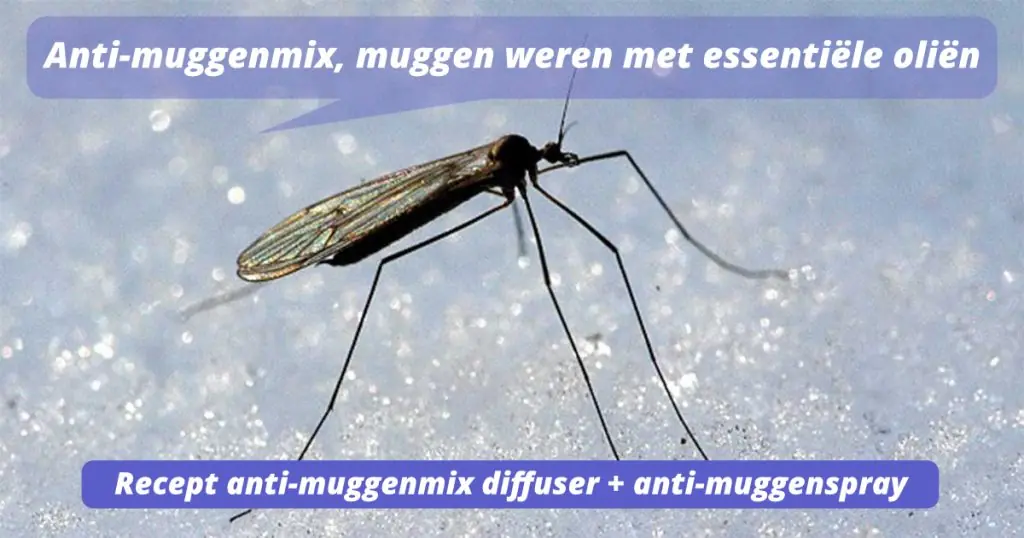 Anti muggenmix, muggen weren met essentiële oliën