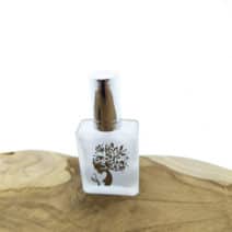 parfumfles 15ml lady flower lege hervulbare Parfum sprayfles dop zilver
