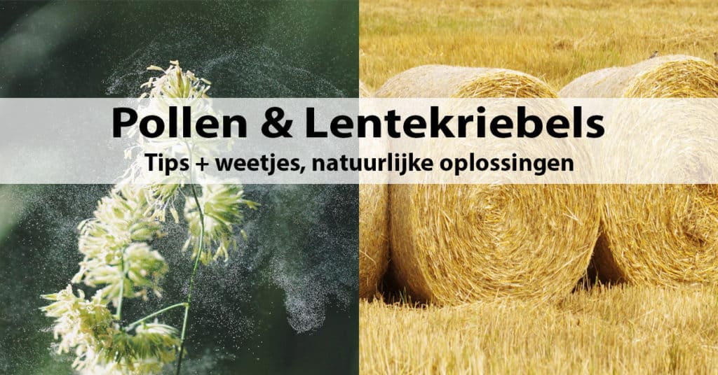 Pollen & Lentekriebels - Tips + weetjes, natuurlijke oplossingen