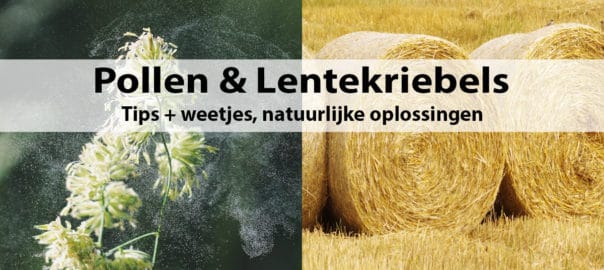 Pollen & Lentekriebels Tips + weetjes, natuurlijke oplossingen