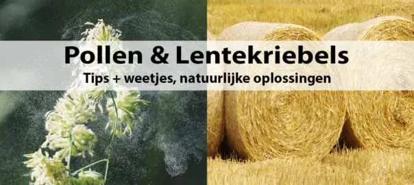Pollen & Lentekriebels Tips + weetjes, natuurlijke oplossingen