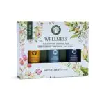Song of India's Wellness collectie Aromatherapie set